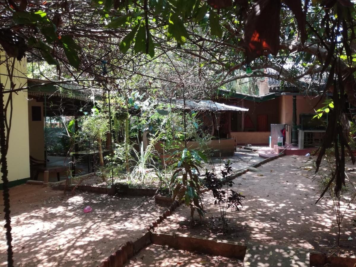Sigiriya Freedom Lodge ดัมบูลลา ภายนอก รูปภาพ