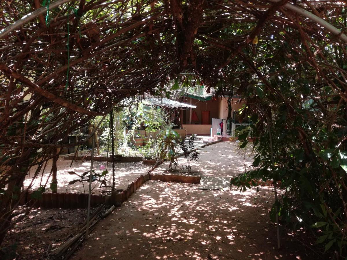 Sigiriya Freedom Lodge ดัมบูลลา ภายนอก รูปภาพ