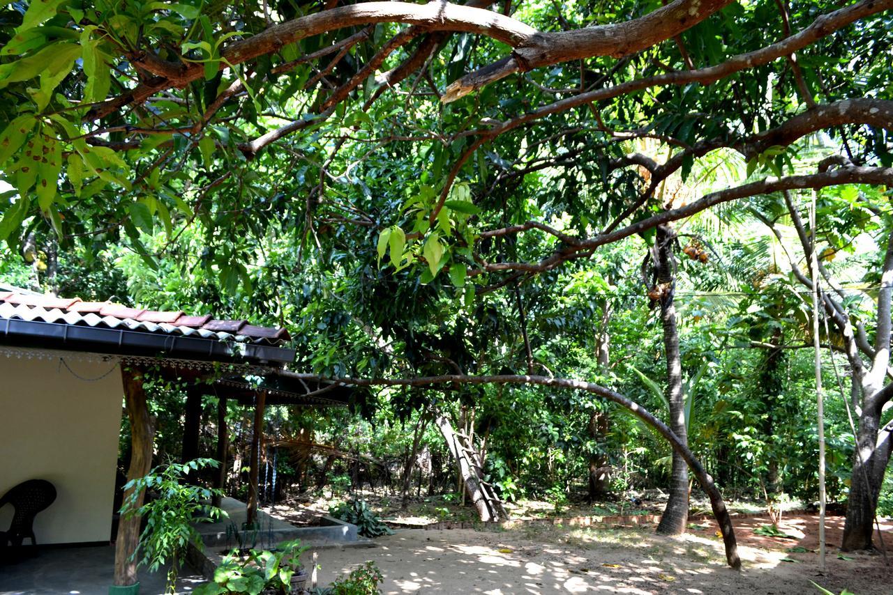 Sigiriya Freedom Lodge ดัมบูลลา ภายนอก รูปภาพ