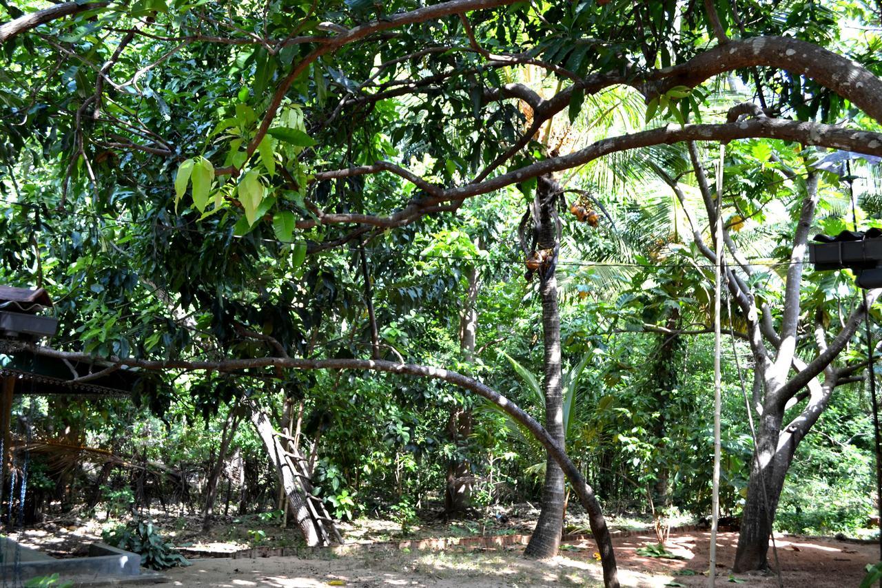 Sigiriya Freedom Lodge ดัมบูลลา ภายนอก รูปภาพ