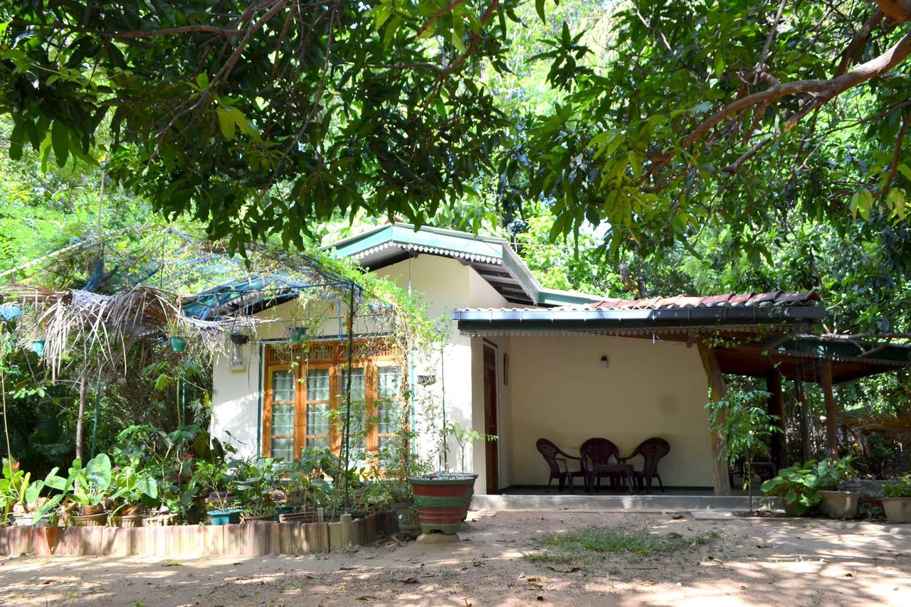 Sigiriya Freedom Lodge ดัมบูลลา ภายนอก รูปภาพ