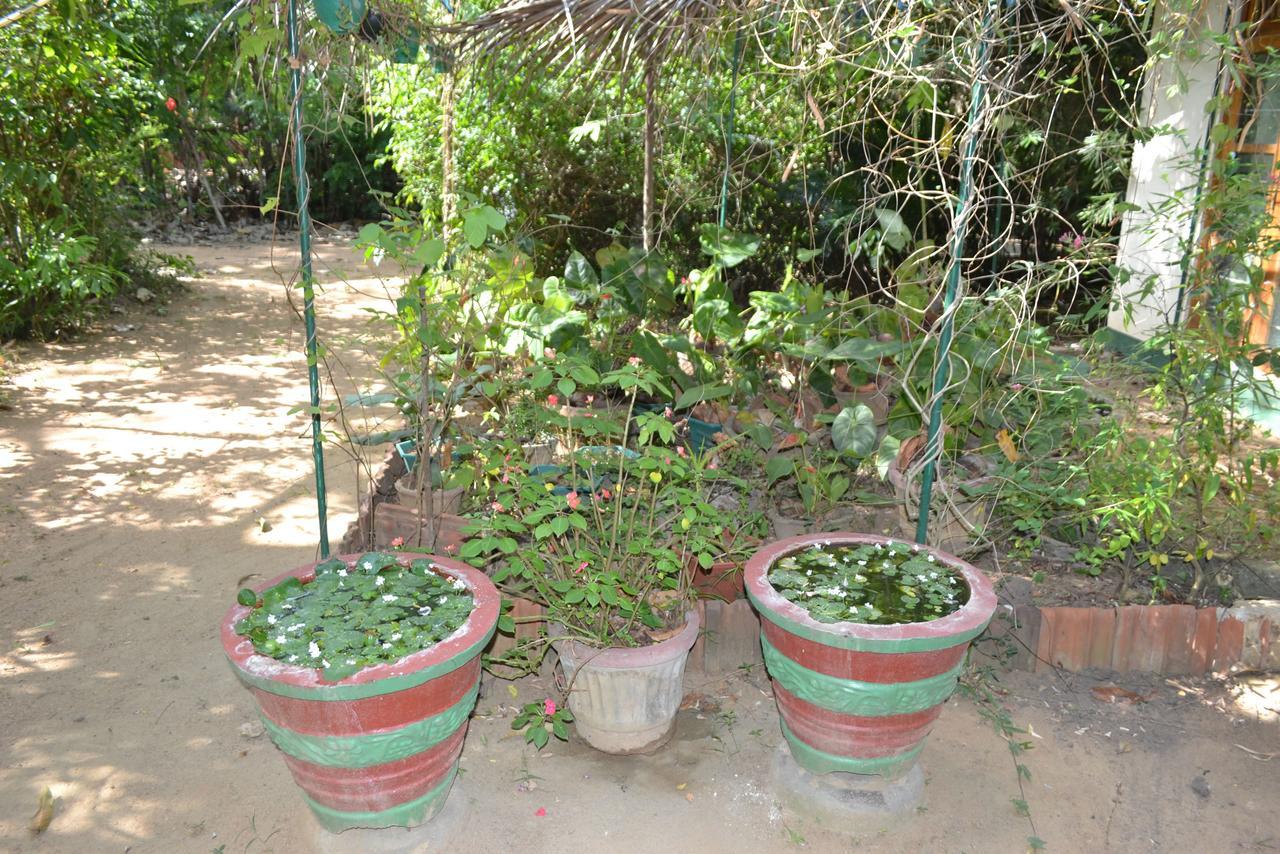 Sigiriya Freedom Lodge ดัมบูลลา ภายนอก รูปภาพ