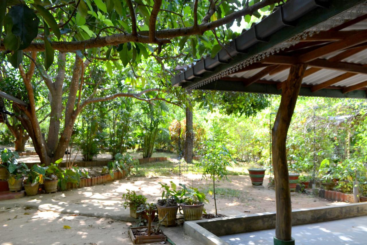 Sigiriya Freedom Lodge ดัมบูลลา ภายนอก รูปภาพ